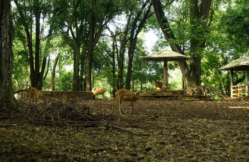 Ragunan Hotel | 65 m² Hotel ∙ 4 guests