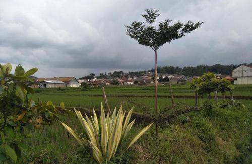 Pasirjambu House | 72 m² House ∙ 2 bedrooms ∙ 5 guests