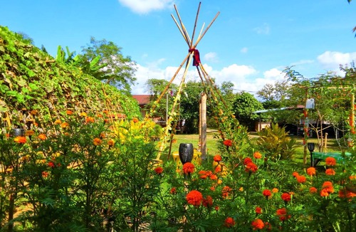 Pua House | 80 m² House ∙ 4 guests