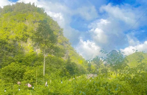 Bac Ha Ski Chalet | A Páo Homestay