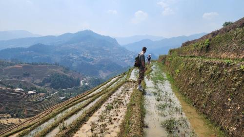 Mu Cang Chai Bed & Breakfast | A Su Homestay Mu Cang Chai