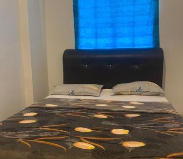 Taman Haji Zainal Apartment | Adel Corus Paradise Lagoon Apartment
