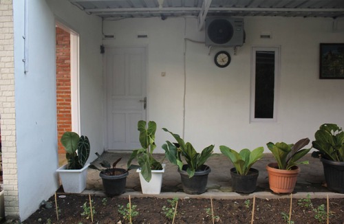 Kalasan House | Affordable Garden Guesthouse