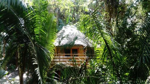 San Francisco Cabin | Aldea Bambú