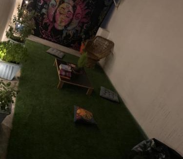 Tapovan House | Amigos homestay 5