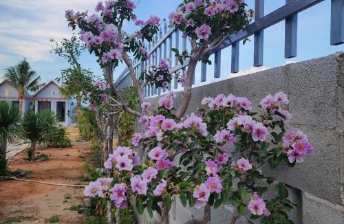 Phan Rang Resort | An Linh Homestay