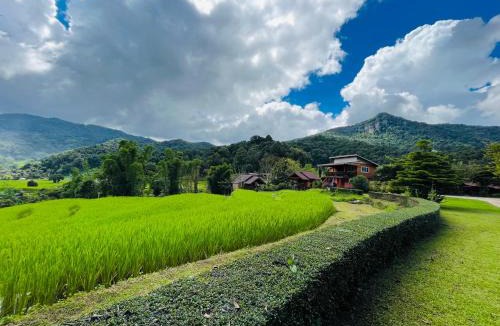 Chom Thong House | Angha forest view บ้านริมนา