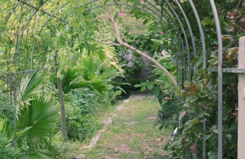 Hue House | Anhien Hue homestay - A dreamy pink house nestled within a natural garden