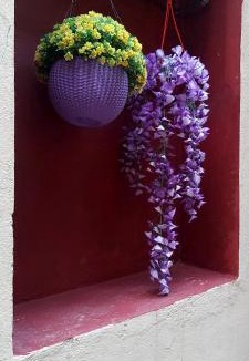 Kalighat House | Ani's Homestay
