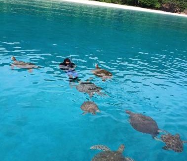 Redang Island Hotel | Arikiya Redang Village