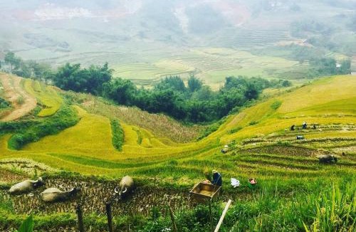 Sa Pa Apartment | Authentic Homestay Sapa