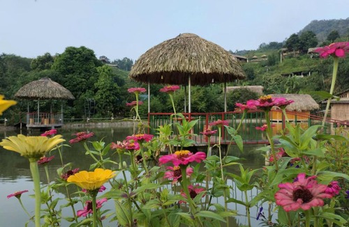 Thong Nguyen Hotel | Bậc Thang Vàng Homestay