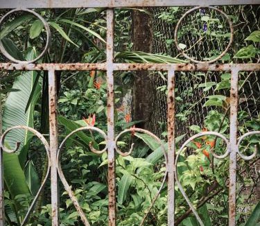 Chau Thanh House | Bến Tre Homestay