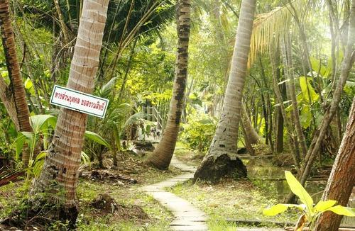 Suan Luang Hotel | Baan LoyLom SuanAmphawa