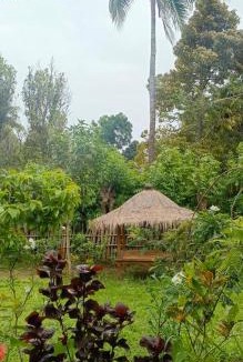 Bayan Hotel | Balé Sebaya - Bungalows Café Nature