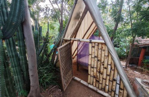Mazunte House | Balamjuyuc Cabañas y Ecohostel