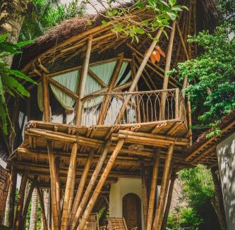 Luong Son Ski Chalet | Bamboo Hill