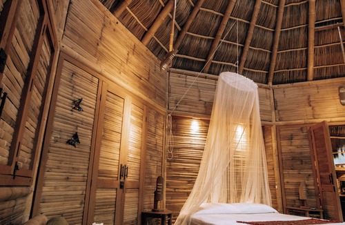 San Francisco Cabin | Basil Cabin 2. Romantic Ecolodge in the jungle by the sea