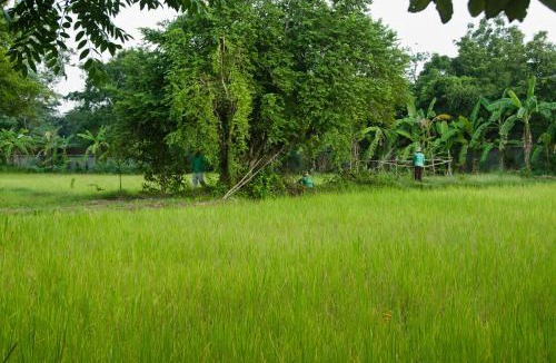 Svay Pao Resort | Battambang Resort
