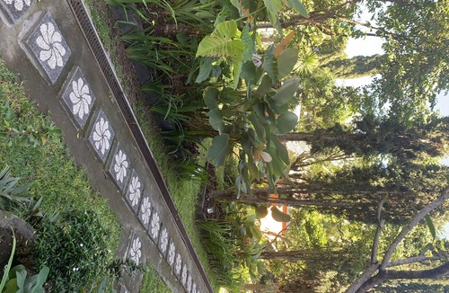 Toya Bungkah House | Batur Sunrise Guesthouse ~ Family room with garden view