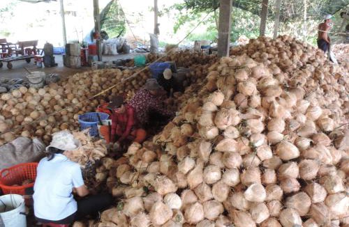 Ben Tre House | Ben Tre Farm Stay