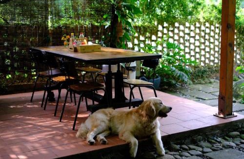 Cat Ba Hotel | Blue Lagoon Cat Ba