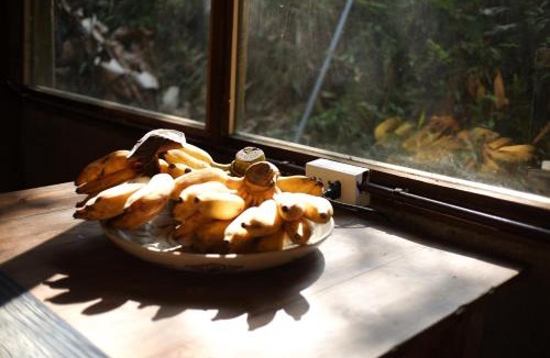 Sa Pa Apartment | Bluebird chill homestay with Bamboo and Stream