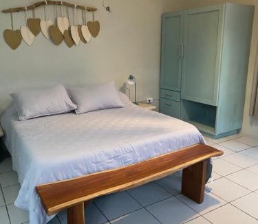 Colonia Adolfo Lopez Mateos Apartment | Budgie's 2 Studio