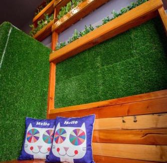 Bukit Indah House | Bukit Indah 8-16 Pax 5Min to Aeon Mall