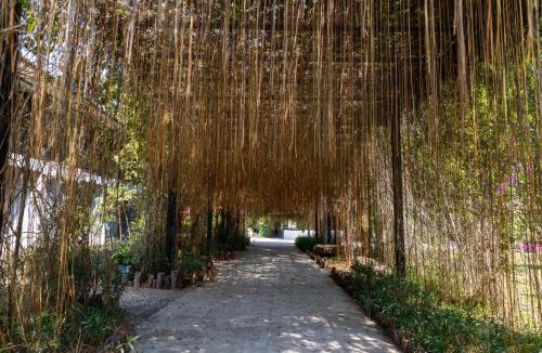 Kenue Kang Hotel | Butterfly Valley