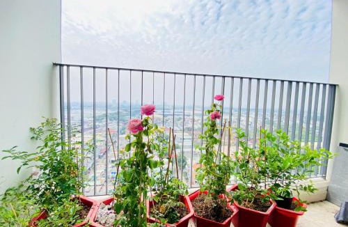 Di An Apartment | Căn hộ Bcons Garden view Landmark 81