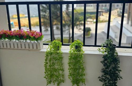 Sa Pa Apartment | Căn hộ Cozy House Chung Cư IRIS HILL SAPA