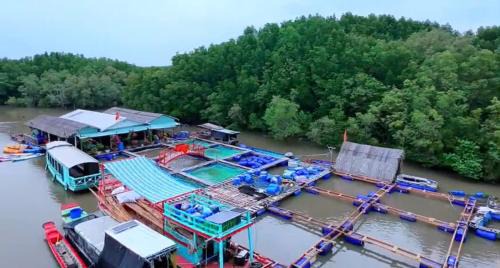 Can Gio Other | Cần Giờ Floating House