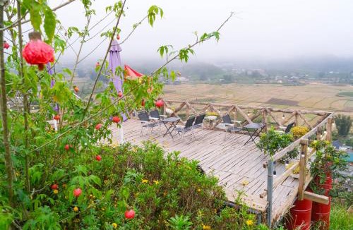 Moc Chau House | Cỏ Mây Wonder Homestay