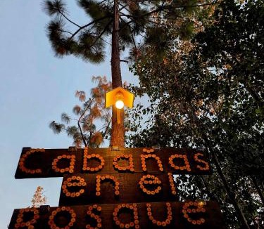 San Jose del Pacifico Ski Chalet | Cabaña en el Bosque de San José del Pacífico 3
