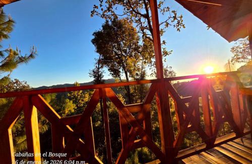 San Jose del Pacifico Ski Chalet | Cabaña en el Bosque de San José del Pacífico 3