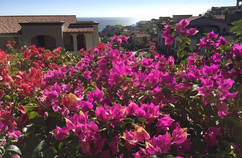 Sunset Beach Apartment | Cabo San Lucas Luxury Executive Suite with Ocean View - sleeps up to 6.