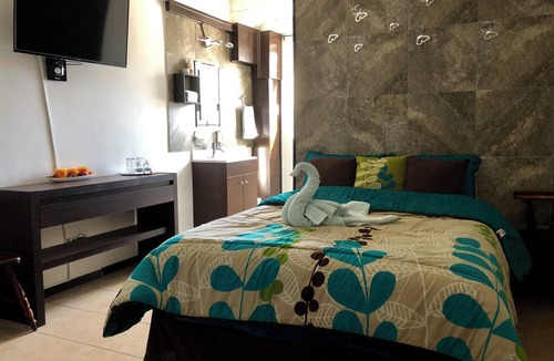 Centro Hotel | Cabo Tortuga Hotel Boutique
