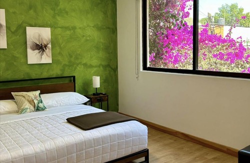 Narvarte Poniente Hotel | Casa Bamboo