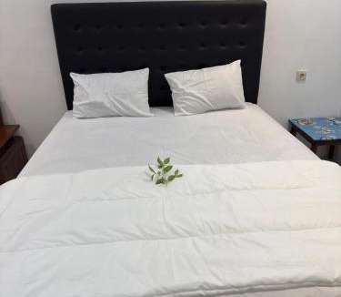 Banyuwangi House | Casa kinari homestay