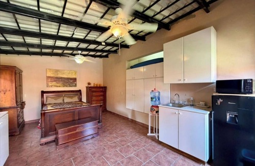 Ajijic House | CASA MANDERINA nnBeautiful private garden area with large heated pool.
