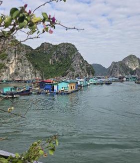 Cat Ba Hotel | Cat Ba Nam Phong Hotel