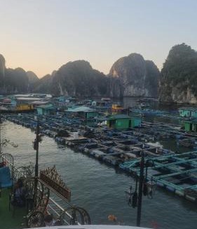 Cat Ba Hotel | Cat Ba Nam Phong Hotel