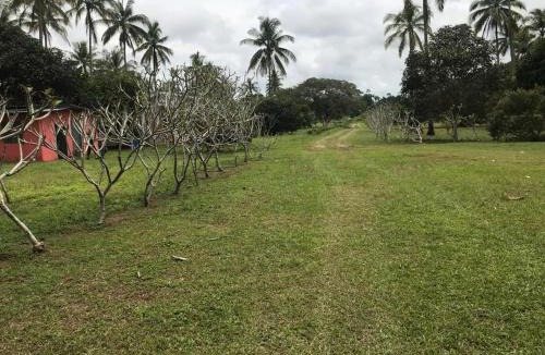 Sematan Cabin | Cempaka Lodge