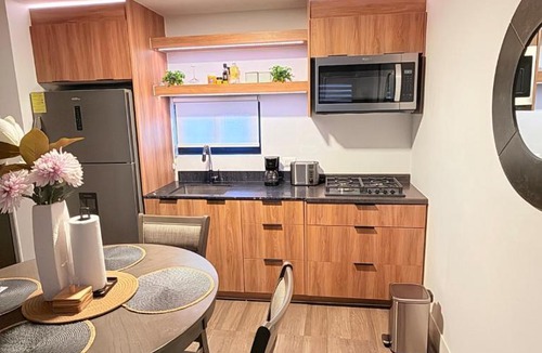 Centro Apartment | Centrico Gonzalez