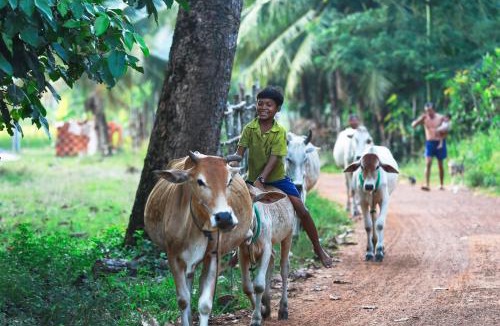 Sout Nikom House | Chansor Homestay 17 By Siem Reap Homesteading