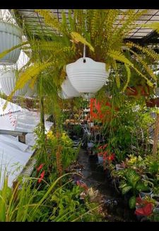 Surakarta House | ChiGhaya Guest House