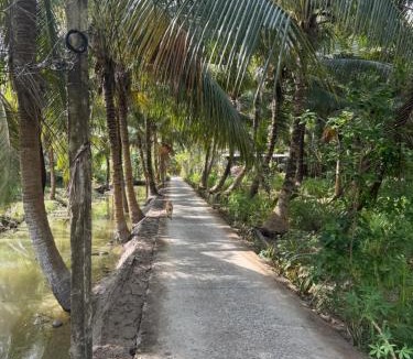 Cau Ke House | Cin Homestay