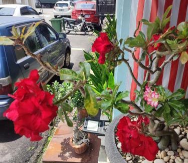 Chinatown House | Cintra Heritage House