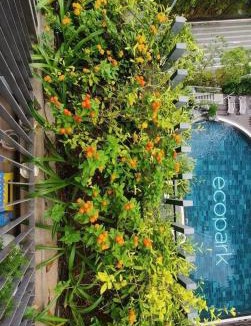 Van Giang Apartment | COLAHA Homestay Ecopark - 3BR Swanlake Mori Onsen - Khoáng nóng